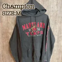 Champion チャンピオン プルオーバ-パーカー L ダークグレー
