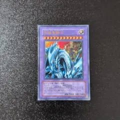 2026年最新】究極竜騎士 ウルトラ psa10の人気アイテム - メルカリ