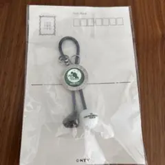 LPGA ハイビスカップ　グッズ