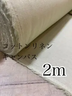 Item thumbnail for item 69021443-8178-426d-b90a-5fc751b89635