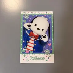 ポチャッコ サンリオ　ブロマイド カード　ポトレ