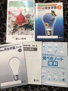 Item thumbnail for item eca0a12d-9ab7-4e8d-8a00-8b61e09ac318