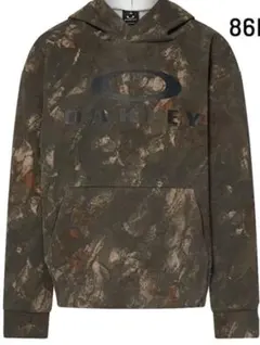 Item thumbnail for item 43b235a9-1f00-40ba-9da3-ac2a98c27301