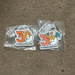 ポケモン 30周年メタルチャームマスコット ヒトカゲ リザードン