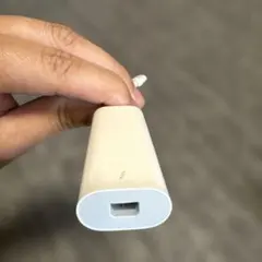 Apple純正 Thunderbolt 3（USB-C）