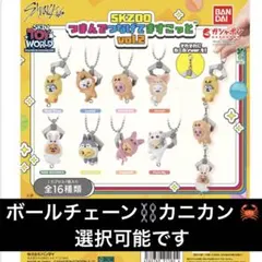 Stray Kids スキズ つまんでつなげてますこっと コンプ SKZOO