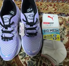 Item thumbnail for item 54e24528-4c08-40ed-8704-421d1a18e99c