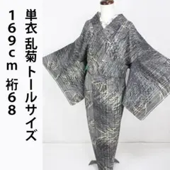 単衣　着物　小紋　フルセット　正絹　トールサイズ　爽やか　O8 2026年最新】単衣 正絹 トールサイズの人気アイテム - メルカリ