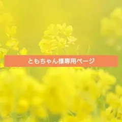 ともちゃん様専用ページ①