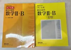 黄色チャートⅡ+B　解答編