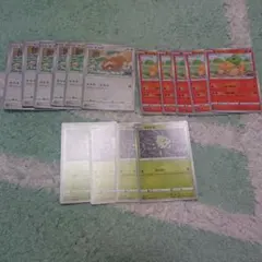 tomokichi様 リクエスト 2点 まとめ商品