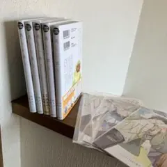 美しい彼 1巻～5巻 特典セット アニメイト有償特典 リーフレット