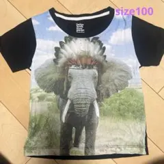 象さん　tシャツ