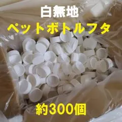 Item thumbnail for item c926e360-ede5-4155-bb16-b6d4fac1e967