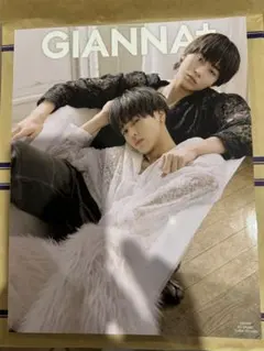 即購入⭕️☪️✨奥野壮♡豊田裕大GIANNA+ 08❣️ファッション雑誌 A4サイズ