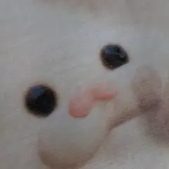 うちの子のけだまだま　第二弾　猫　シャムトラ　正規品　２点セット