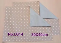 新品ランチョンマット2枚セット《No.LG14》
