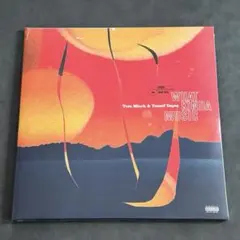 JUDA ユダ CLUB COLD LP レコード 浅井健一 sherbets - メルカリ