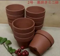 未使用/訳有り特価❕常滑焼/素焼き/植木鉢/2号/12個組　ミニ植木鉢のサムネイル