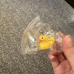 アヒル カプセルトイ