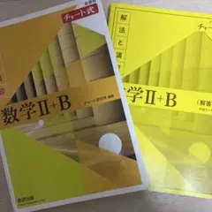 数学II+B チャート式 問題、回答セット
