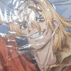 Dr.STONE 七海龍水 プレミアム抱き枕カバー - メルカリ