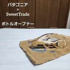 016限定・廃番デザイン☆パタゴニア キャンバスバッグ フライング