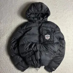 Eddie Bauer Premium goose down jacket