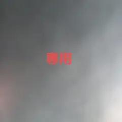 専用