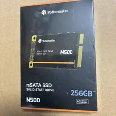 Yottamaster 256GB 内蔵型SSD M500 mSATA