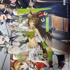 ウマ娘 美浦村コラボ クリアカード ミスターシービー