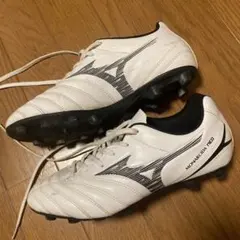 Item thumbnail for item 5a1d69be-941c-48b9-84f6-e0095d3b5377