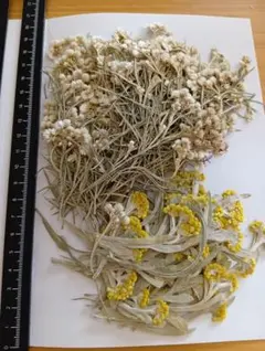 チョコ様 リクエスト 3点 まとめ商品