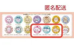 【ちいかわ】刺繍缶バッジビスケット