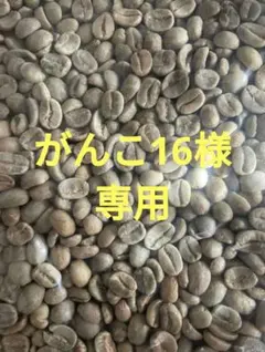 がんこ１６様専用☆コーヒー生豆２種