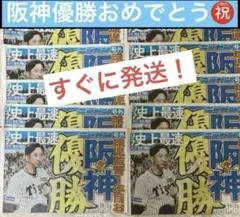阪神タイガース優勝号外ニッカン新聞10枚