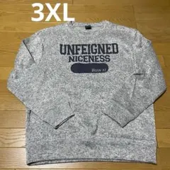 アメカジ スウェット カレッジロゴ トレーナー 3XL 大きいサイズ US古着