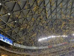 中日ドラゴンズ　金テープ1枚