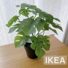 フェイクグリーン ガーデニング