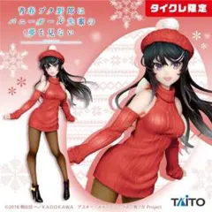 タイクレ限定 Coreful 桜島麻衣ニットワンピース Renewal