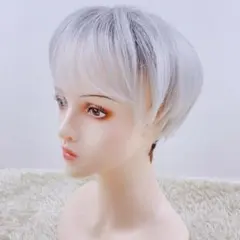 2025年最新】フォンテーヌ ウィッグ白髪の人気アイテム - メルカリ