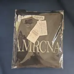 タグ付き新品✨【AMERICANA/アメリカーナ】AMRCNA TEEのサムネイル