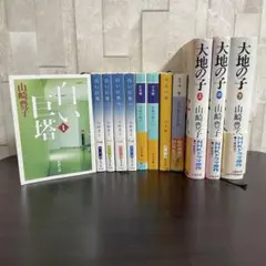 大沢在昌 文庫本 9冊セット まとめ売り 新宿鮫 黒石など - メルカリ