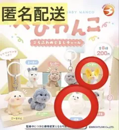 べびわんこめじるしチャーム　ぽめ　こーぎー　ガチャ