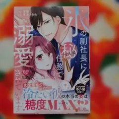 氷の副社長にマル秘任務で溺愛されています