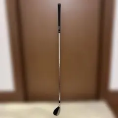 Item thumbnail for item 332dc4c7-1e97-4d07-a278-f243332e46e2