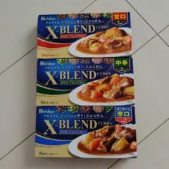 House X-BLEND CURRY 3種セット 甘口 中辛 辛口のサムネイル