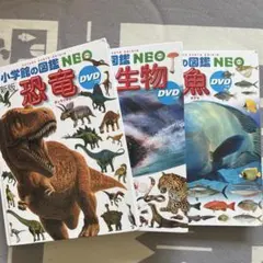 小学館の図鑑 NEO 4冊セット DVD付き - メルカリ