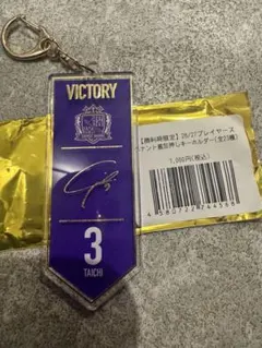 サンフレッチェ広島 勝利時限定　キーホルダー 3 TAICHI
