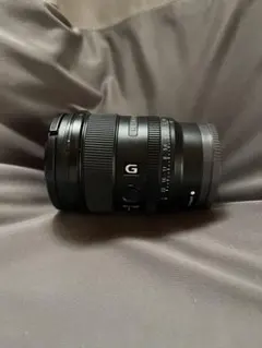 2026年最新】sel20f18gの人気アイテム - メルカリ